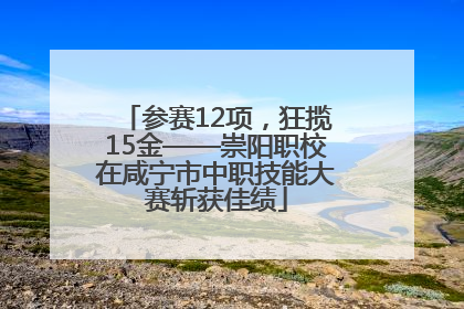参赛12项，狂揽15金——崇阳职校在咸宁市中职技能大赛斩获佳绩