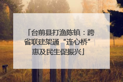 台前县打渔陈镇：跨省联建架通“连心桥” 惠及民生促振兴