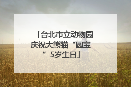 台北市立动物园庆祝大熊猫“圆宝”5岁生日
