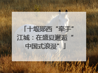 十堰郧西“牵手”江城：在盛夏邂逅“中国式浪漫”