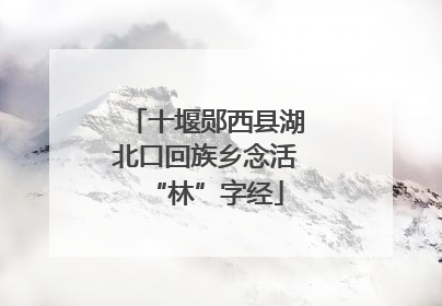 十堰郧西县湖北口回族乡念活“林”字经