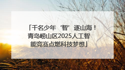 千名少年‘智’逐山海！青岛崂山区2025人工智能竞赛点燃科技梦想
