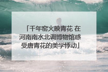 千年窑火映青花 在河南南水北调博物馆感受唐青花的美学悸动