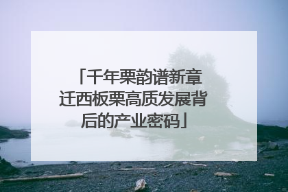 千年栗韵谱新章 迁西板栗高质发展背后的产业密码
