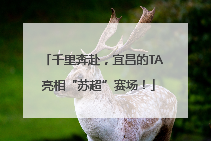 千里奔赴，宜昌的TA亮相“苏超”赛场！