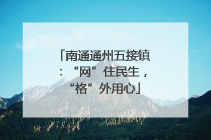 南通通州五接镇：“网”住民生，“格”外用心