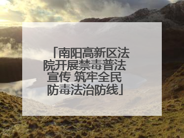 南阳高新区法院开展禁毒普法宣传 筑牢全民防毒法治防线