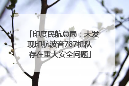 印度民航总局：未发现印航波音787机队存在重大安全问题
