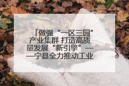 做强“一区三园”产业集群 打造高质量发展“新引擎”——宁县全力推动工业经济提质增效