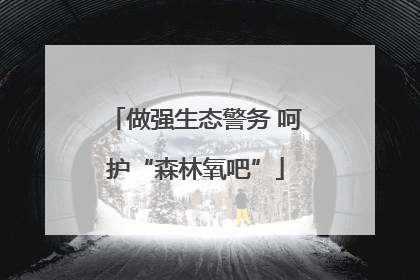 做强生态警务 呵护“森林氧吧”