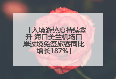入境游热度持续攀升 海口美兰机场口岸过境免签旅客同比增长187%