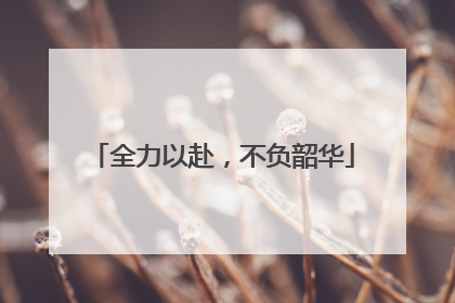 全力以赴，不负韶华