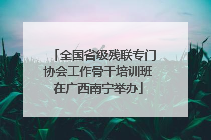 全国省级残联专门协会工作骨干培训班在广西南宁举办