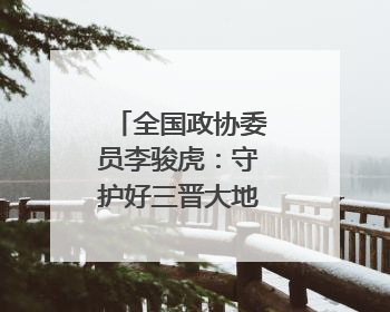 全国政协委员李骏虎：守护好三晋大地的文化宝藏