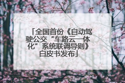 全国首份《自动驾驶公交“车路云一体化”系统联调导则》白皮书发布