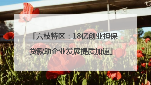 六枝特区：18亿创业担保贷款助企业发展提质加速