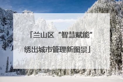 兰山区“智慧赋能”绣出城市管理新图景