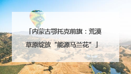 内蒙古鄂托克前旗：荒漠草原绽放“能源马兰花”