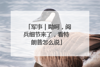 军事｜呦呵，阅兵细节来了，看特朗普怎么说
