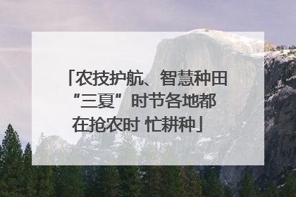 农技护航、智慧种田 “三夏”时节各地都在抢农时 忙耕种