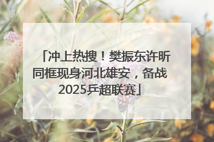 冲上热搜！樊振东许昕同框现身河北雄安，备战2025乒超联赛