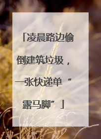凌晨路边偷倒建筑垃圾，一张快递单“露马脚”