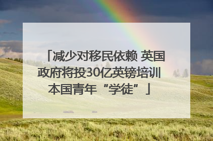 减少对移民依赖 英国政府将投30亿英镑培训本国青年“学徒”