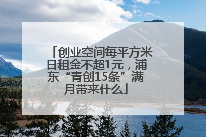 创业空间每平方米日租金不超1元，浦东“青创15条”满月带来什么