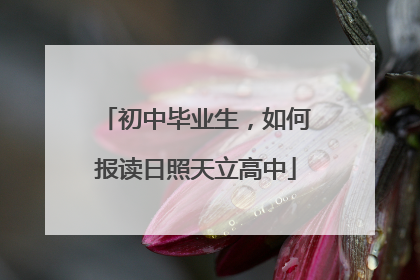 初中毕业生，如何报读日照天立高中