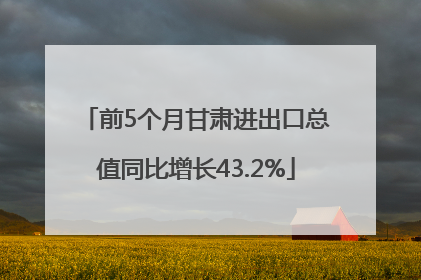 前5个月甘肃进出口总值同比增长43.2%