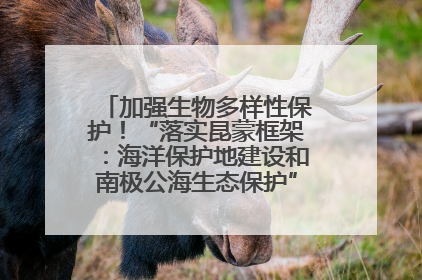 加强生物多样性保护！“落实昆蒙框架：海洋保护地建设和南极公海生态保护”主题论坛将举办