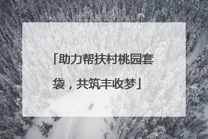 助力帮扶村桃园套袋，共筑丰收梦