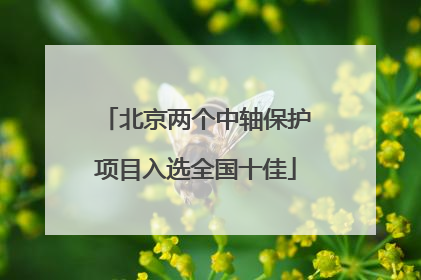 北京两个中轴保护项目入选全国十佳