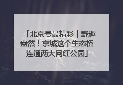 北京号最精彩｜野趣盎然！京城这个生态桥连通两大网红公园