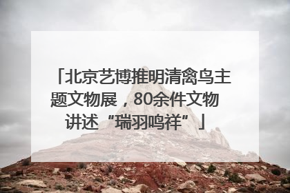北京艺博推明清禽鸟主题文物展，80余件文物讲述“瑞羽鸣祥”