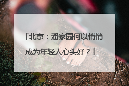 北京：潘家园何以悄悄成为年轻人心头好？