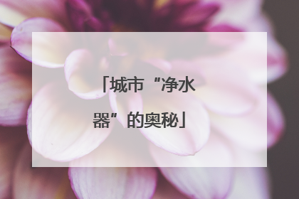 城市“净水器”的奥秘