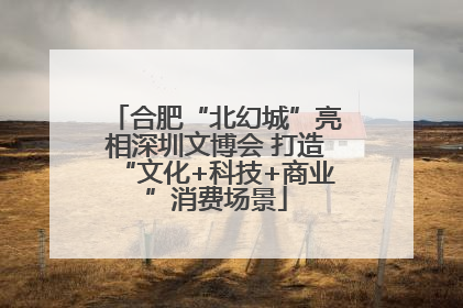 合肥“北幻城”亮相深圳文博会 打造“文化+科技+商业”消费场景