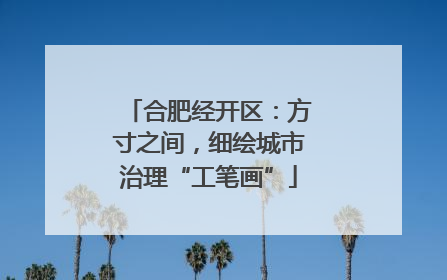 合肥经开区：方寸之间，细绘城市治理“工笔画”