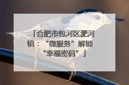 合肥市包河区淝河镇：“微服务”解锁“幸福密码”