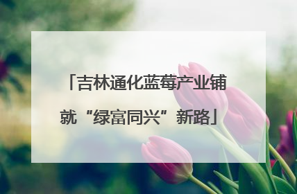 吉林通化蓝莓产业铺就“绿富同兴”新路