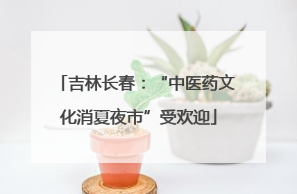 吉林长春：“中医药文化消夏夜市”受欢迎