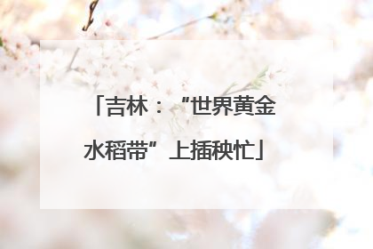 吉林：“世界黄金水稻带”上插秧忙