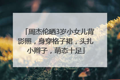 周杰伦晒3岁小女儿背影照，身穿格子裙，头扎小辫子，萌态十足