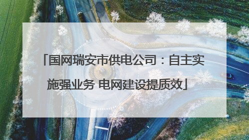 国网瑞安市供电公司：自主实施强业务 电网建设提质效