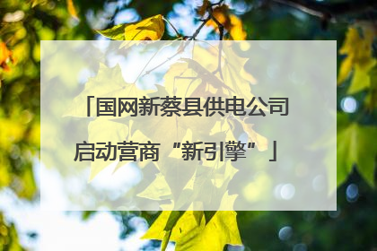 国网新蔡县供电公司启动营商“新引擎”