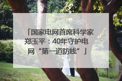 国家电网首席科学家郑玉平：40年守护电网“第一道防线”