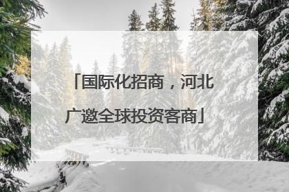 国际化招商，河北广邀全球投资客商