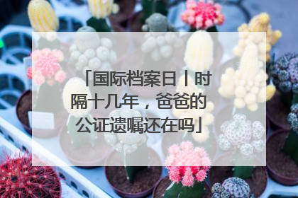 国际档案日丨时隔十几年，爸爸的公证遗嘱还在吗