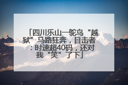 四川乐山一鸵鸟“越狱”马路狂奔，目击者：时速超40码，还对我“笑”了下